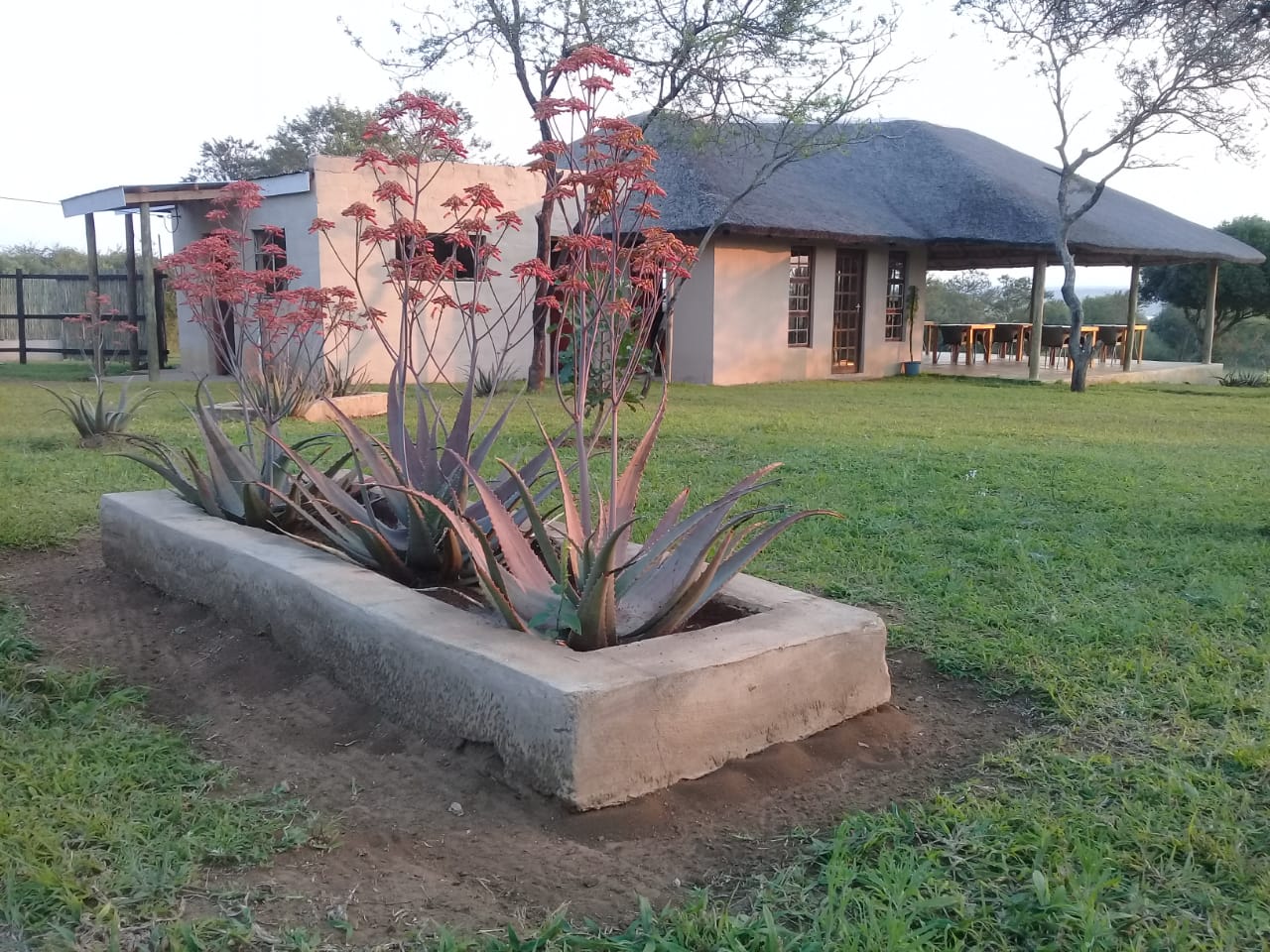 Lodge View 2
